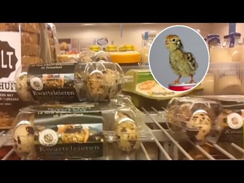 ซูเปอร์ฟู้ด