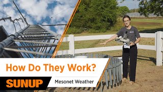 What Does a Mesonet Really Measure 🌦️ Inside Oklahoma’s Weather Network | Mesonet Weather Report