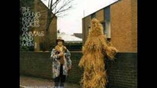 The Young Knifes - She&#39;s Attracted To