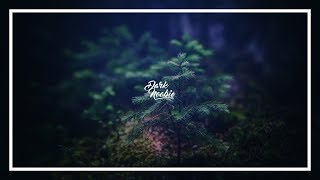 Borgeous, Taylr Renee - Sweeter Without You (Zack Martino Remix)