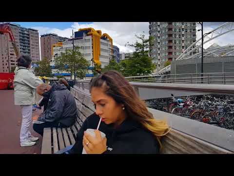 student live in the Hague