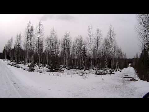 Metsolan Metsäkoulu 100, puunkasvatus ei oo hätästen hommaa