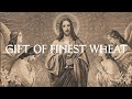 Gift of Finest Wheat