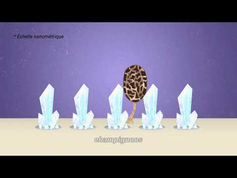 Vernis bactéricide et virucide SAFETYTOUCH - Protection 12 mois, pose rapide 5 min, contact alimentaire_1