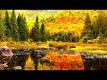 "An Autumn Heart" Beautiful Relaxing Music, Peaceful Soothing Instrumental Music by Tim Janis