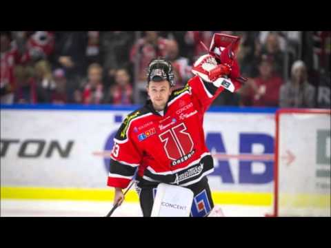 Top 5 SHL goalies 2016