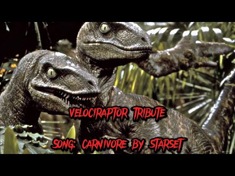 Velociraptor tribute (carnivore)