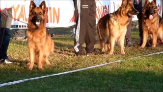Championnat de France 2016