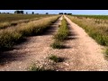 Jose Larralde - los ejes de mi carreta