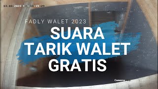 Download lagu Suara Tarik Walet Gratis Full Jernih Durasi Panjang mp3 Download lagu Suara Tarik Walet Gratis Full Jernih Durasi Panjang mp3