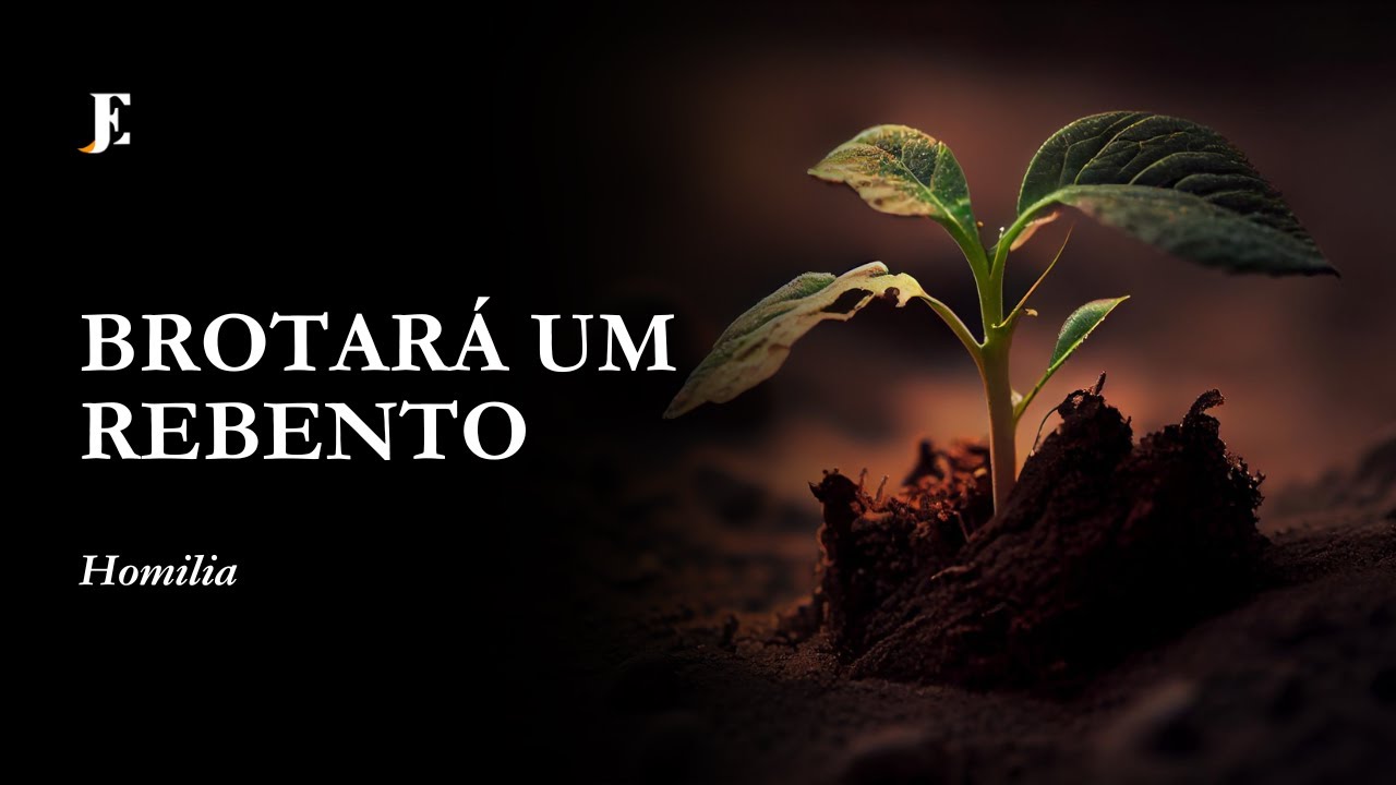 BROTARÁ UM REBENTO - Homilia - III Feira - I Advento (2024)