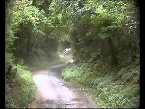 RALLY DEL TARTUFO 2009: CAROSSO BIG-CRASH