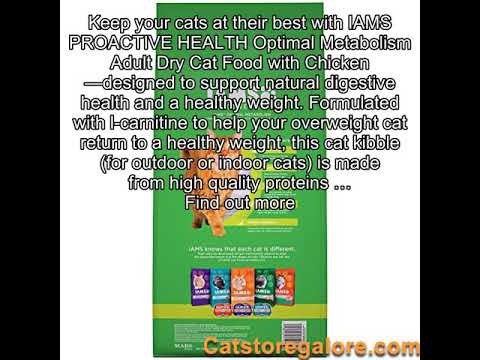 download lagu mp3 mp4 Iams Optimal Metabolism, download lagu Iams Optimal Metabolism gratis, unduh video klip Iams Optimal Metabolism