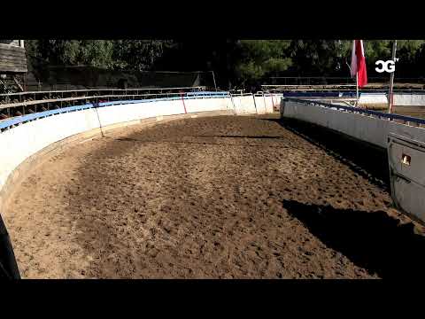 RODEO OFICIAL CLUB SAN IGNACIO - SERIE CRIADEROS - 22/11/25