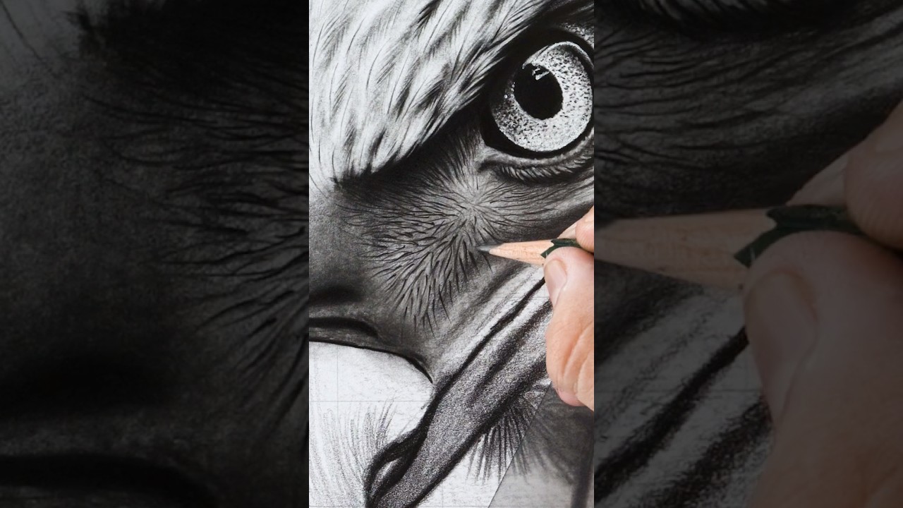 Insane Feather Details 🦅 Realistic Eagle Drawing Reveal!