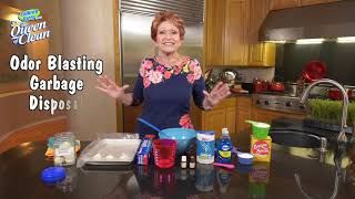 Make Your GARBAGE DISPOSAL SMELL FRESH - Queen Of Clean Cleaning Tip Video