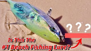 #1 Beach Fishing Lure That Will Catch Any Species From The Surf