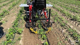 Solan P501/2 cultivator for sale - Image 4 | Agronetto UG New Solan P501/2 cultivator | Image 4 - Agronetto