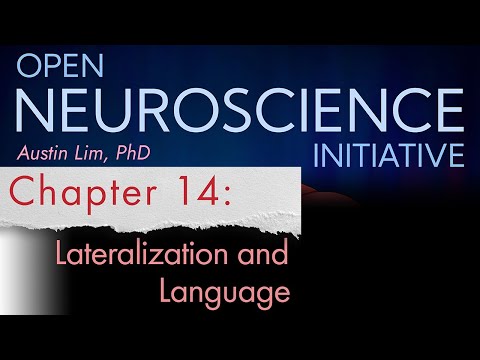 "Lateralization and Language" Chapter 14 - Open Neuroscience Initiative free textbook narration