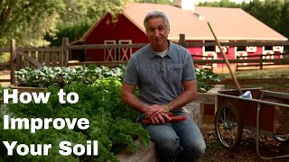 How to Improve Your Soil for Better Results in Any Lawn or Garden