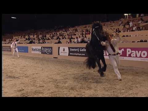 KFPS Hengstenkeuring 2016 Rubriek 05 &amp; uitreiking Silver Bowl