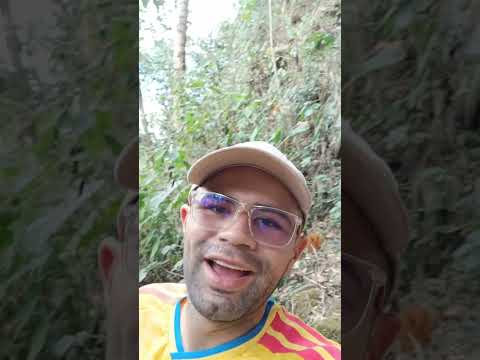 casabianca tolima carros de piedra