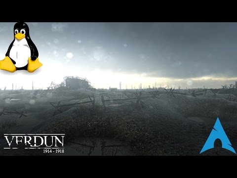 Linux Gaming: Verdun Beta Revisit [Native]