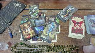 🍀✨ O QUE NÃO ESTOU CONSEGUINDO ENXERGAR NESTA SITUAÇÃO?