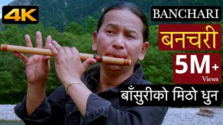 Banchari बनचरी | Bansuri Tabla Music | Basuri Ko Dhun | Bamboo Flute Music | Nepali Dhun बाँसुरी 4K