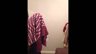 The Flying Lizards - TV