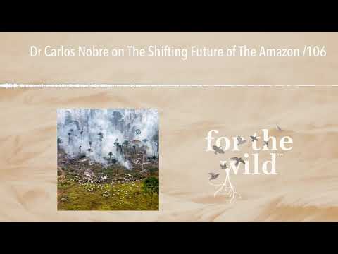 Dr Carlos Nobre on The Shifting Future of The Amazon /106