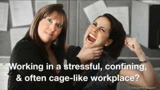 preview picture of video 'Beat Cubicle Crazies | Work and Travel | CrushTheCubicle.com'