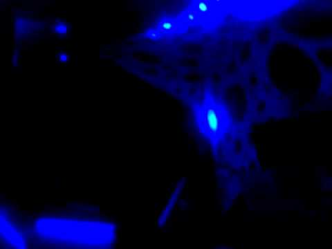 Iznogood Live @ Psy Kick! Pres. Necmi, Nitro & Glycerine