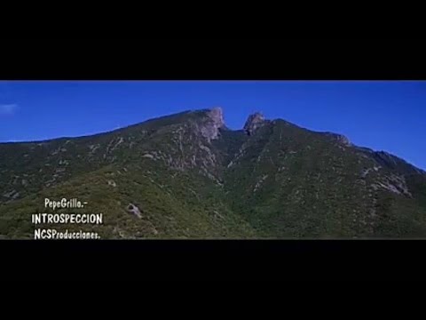 Pepe Grillo.-INSTROSPECCIÓN