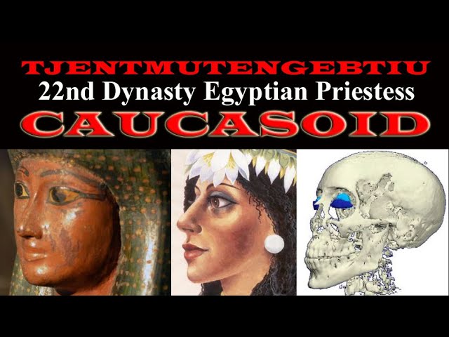 22nd Dynasty Egyptian Priestess Tjentmutengebtiu Demonstrates Caucasian Cranial Morphology