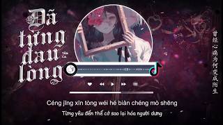 Download lagu [Vietsub] Đã Từng Đau Lòng (Nụ Hồng Mong Manh) - Tẫn Ca | 曾经心痛 - 烬歌 mp3