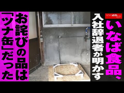 いなば食品　入社辞退者 が明かす　お詫び の品は「 ツナ缶 」だった NEWSポストセブン