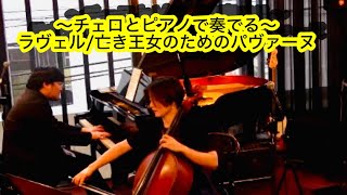 Download lagu 【チェロとピアノ】ラヴェル/亡き王女のためのパヴァーヌ mp3 Download lagu 【チェロとピアノ】ラヴェル/亡き王女のためのパヴァーヌ mp3