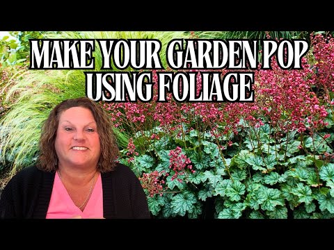 🌿Top Foliage Plants For Brilliant Texture & Contrast | Shrubs & Perennials To Elevate Your Garden ✨