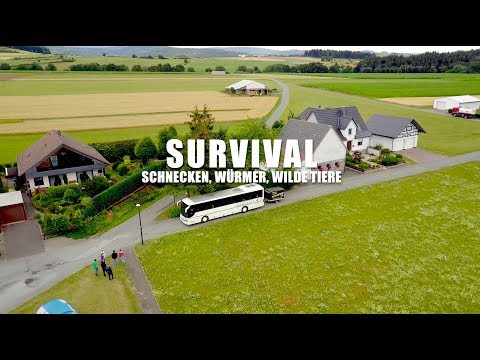 Wir sind Zeltlager - Film 2017