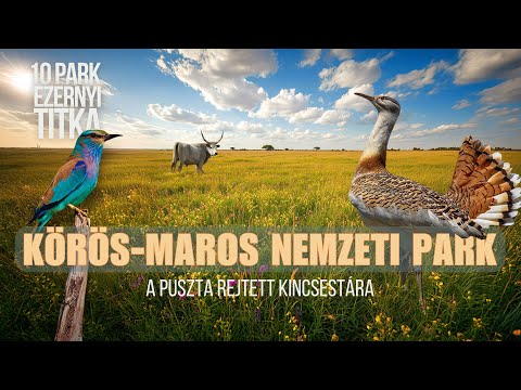 Körös-Maros Nemzeti Park | Végtelen puszták, szikes tavak és mocsarak