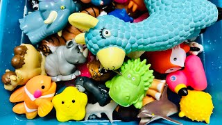 Learn Animal Names, Animal toys, Animals for kids, Sea Animals, Wild Zoo, Farm, Animals for toddlers