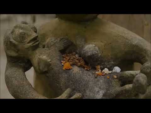 Wall of Sleep  by KOLOSSOR