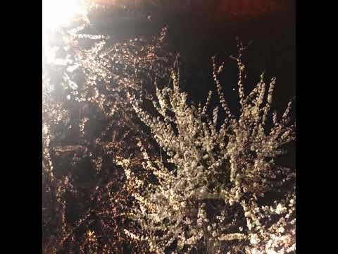 Rory in early 20s - 空間攻撃からの脱出