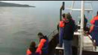 preview picture of video 'Whale Watching in Husavik 005'