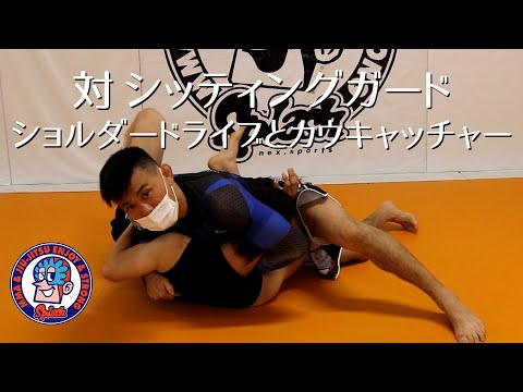 VSシッティングガード　ショルダードライブとカウキャッチャー
