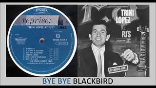 Bye Bye Blackbird Music Video