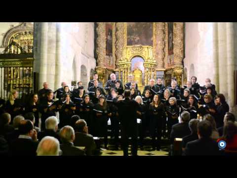 Coro Universitaro Universidad de Burgos. "Ne timeas Maria"    Tomás Luis de Victoria (1548-1611)