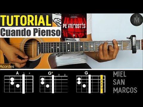 Cuando Pienso - Miel San Marcos