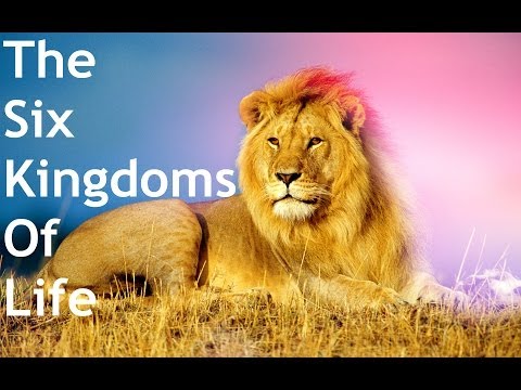 The Six Kingdoms Of Life